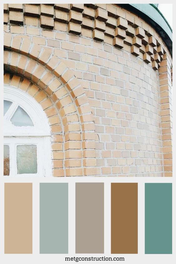 Xclaim Agency | Color Palettes